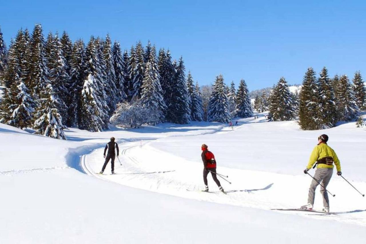 Le 67,ski et randonnée,lave linge,sèche linge,parking Bernex Extérieur photo
