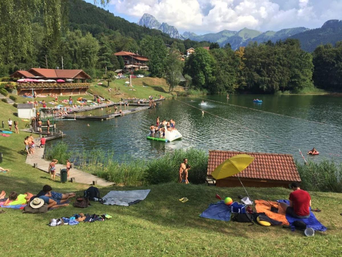 Le 67,ski et randonnée,lave linge,sèche linge,parking Bernex Extérieur photo