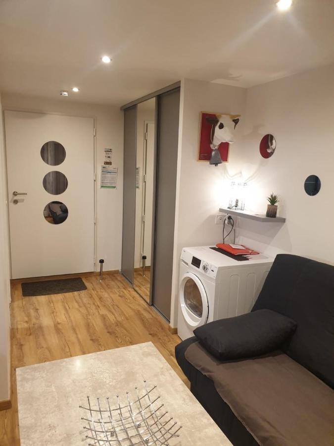 Le 67,ski et randonnée,lave linge,sèche linge,parking Bernex Extérieur photo