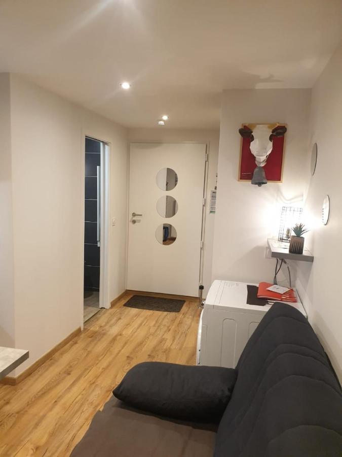Le 67,ski et randonnée,lave linge,sèche linge,parking Bernex Extérieur photo